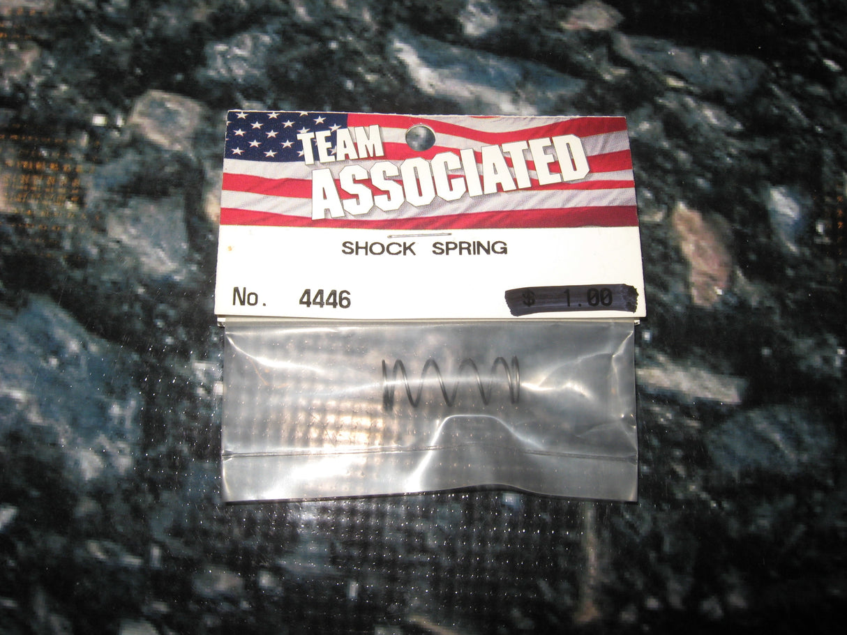TEAM ASSOCIATED PAN CAR SHOCK SPRING STEEL (1) # 4446