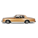 Redcat Caprice Classic RC Car - 1:10 1987 Chevrolet Caprice Classic Hopping Lowrider