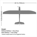 EFLU2950 UMX Radian BNF Basic with AS3X and SAFE Select