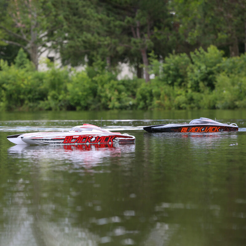 Blackjack 42" 8S Brushless Catamaran RTR - PRB08043T1