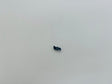 PIRANHA Propeller RCP4109 - RCP4109