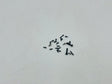 SKY15 Screw set SKY1525 - SKY1525
