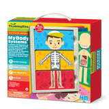 My Body Anatomy