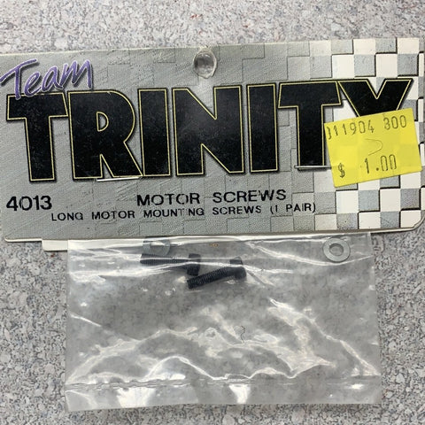 TRINITY 4013 motor screws